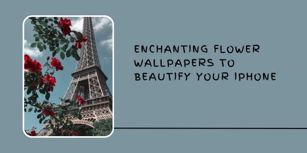 Enchanting Flower Wallpapers to Beautify Your iPhone