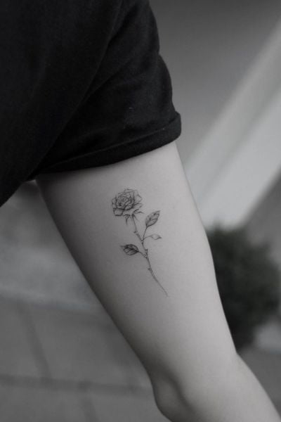 Rose Tattoo