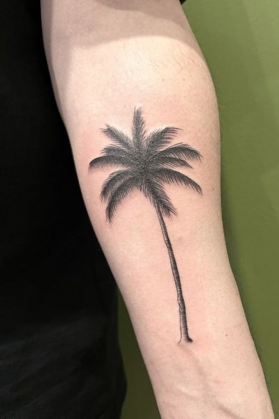 Palm Tree Tattoo