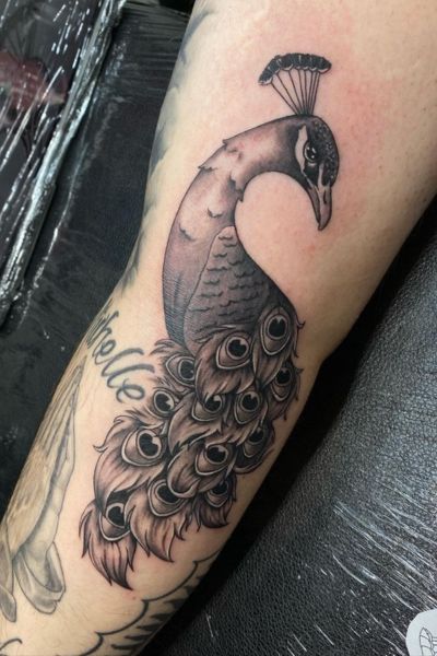 Peacock Tattoo