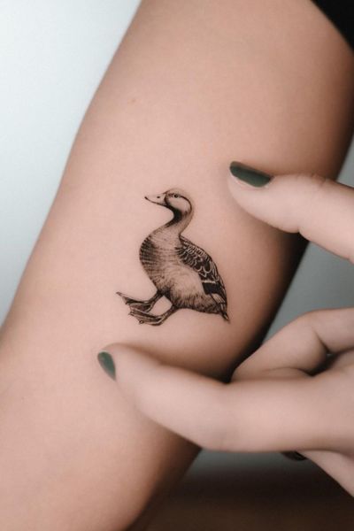 Duck Tattoo