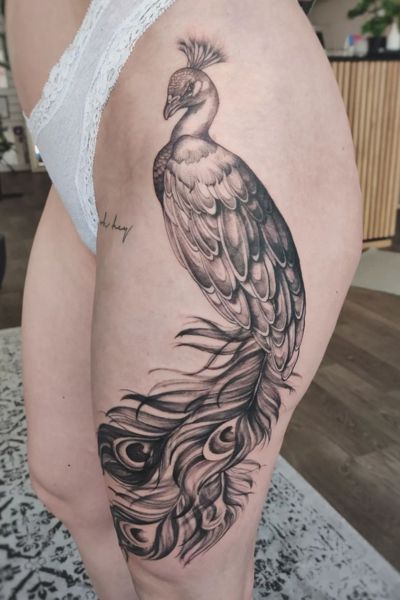 Peacock Tattoo