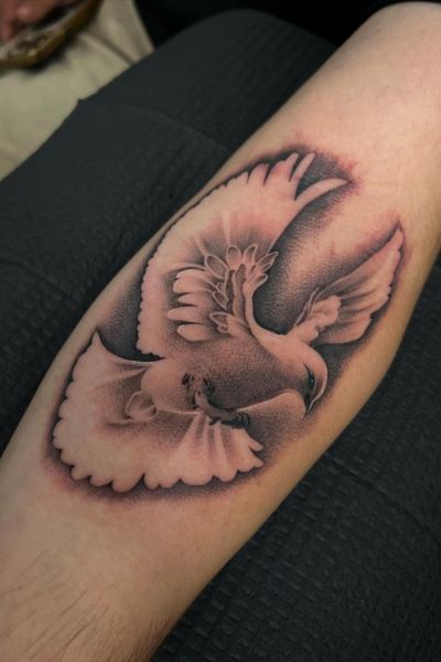 Dove Tattoo