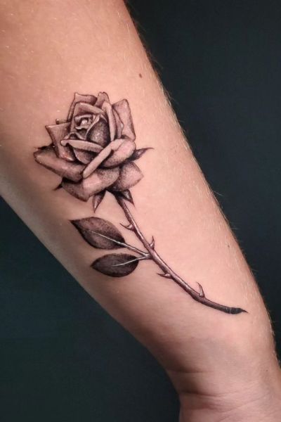 Rose Tattoo