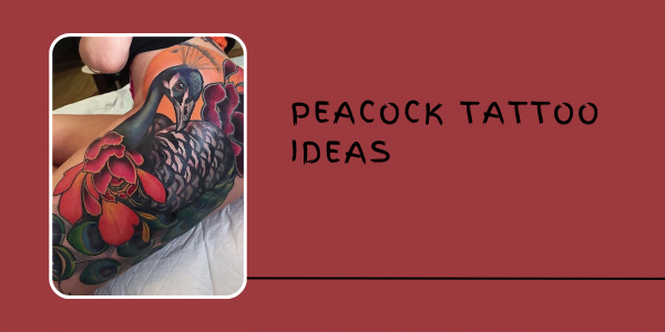 peacock Tattoo Ideas