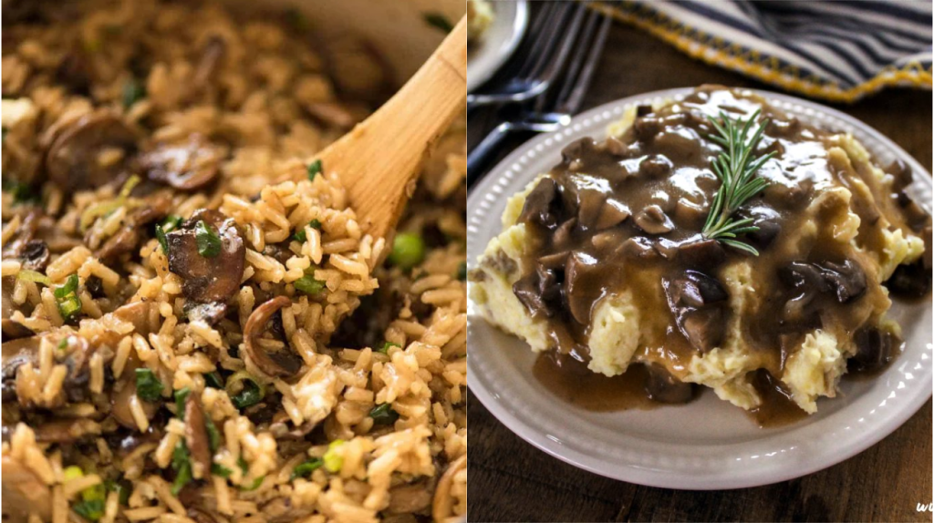 MUSHROOM RECIPES
